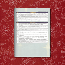 Load image into Gallery viewer, Troika! : Academies of the Arcane