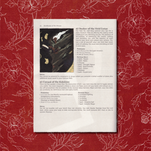Load image into Gallery viewer, Troika! : Academies of the Arcane
